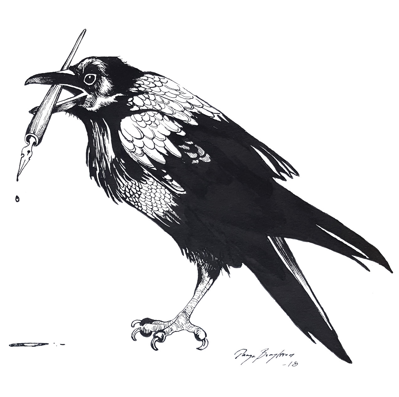 Raven drawn in ink holding a pen in its beak.